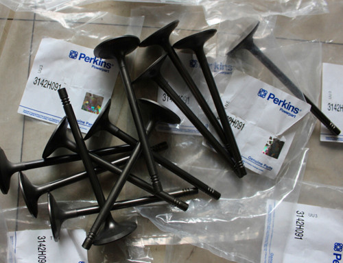 珀金斯404d-22進(jìn)氣門:確保發(fā)動(dòng)機(jī)長(zhǎng)期穩(wěn)定運(yùn)行